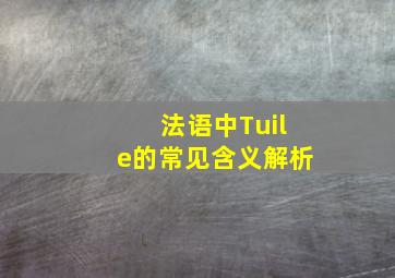 法语中Tuile的常见含义解析