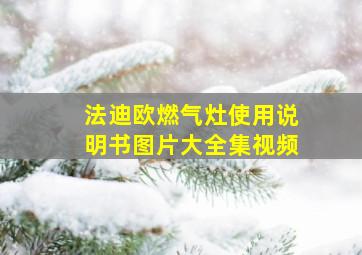 法迪欧燃气灶使用说明书图片大全集视频