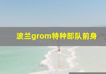 波兰grom特种部队前身