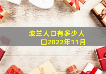 波兰人口有多少人口2022年11月