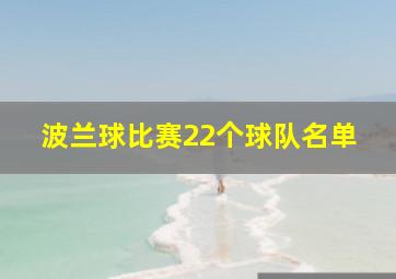 波兰球比赛22个球队名单