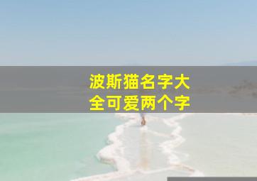 波斯猫名字大全可爱两个字