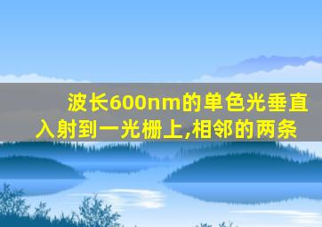 波长600nm的单色光垂直入射到一光栅上,相邻的两条