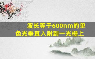 波长等于600nm的单色光垂直入射到一光栅上