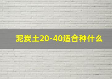 泥炭土20-40适合种什么