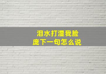 泪水打湿我脸庞下一句怎么说