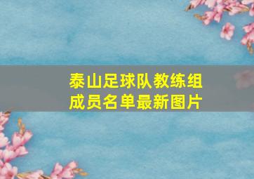 泰山足球队教练组成员名单最新图片