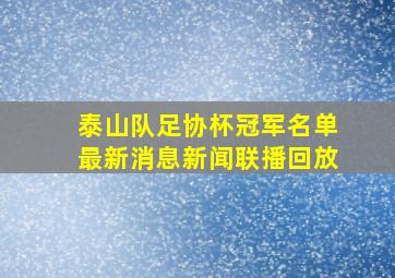 泰山队足协杯冠军名单最新消息新闻联播回放