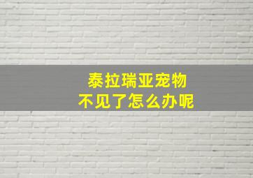 泰拉瑞亚宠物不见了怎么办呢