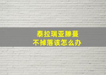 泰拉瑞亚滕蔓不掉落该怎么办