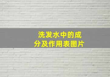 洗发水中的成分及作用表图片