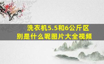 洗衣机5.5和6公斤区别是什么呢图片大全视频