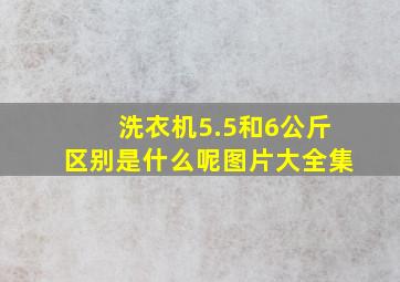 洗衣机5.5和6公斤区别是什么呢图片大全集