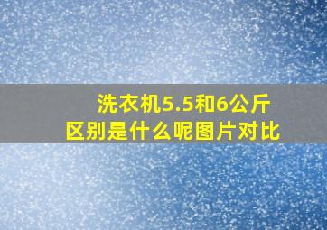 洗衣机5.5和6公斤区别是什么呢图片对比