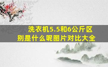 洗衣机5.5和6公斤区别是什么呢图片对比大全