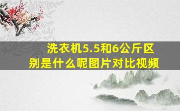 洗衣机5.5和6公斤区别是什么呢图片对比视频