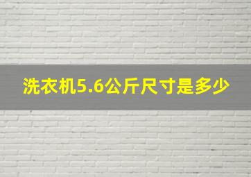 洗衣机5.6公斤尺寸是多少