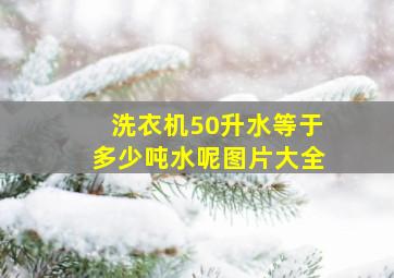 洗衣机50升水等于多少吨水呢图片大全