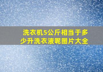 洗衣机5公斤相当于多少升洗衣液呢图片大全