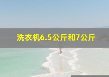 洗衣机6.5公斤和7公斤