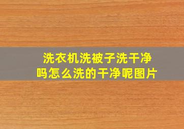 洗衣机洗被子洗干净吗怎么洗的干净呢图片