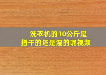 洗衣机的10公斤是指干的还是湿的呢视频