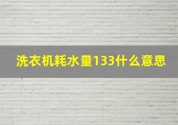 洗衣机耗水量133什么意思