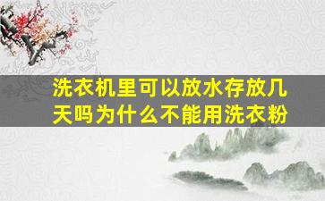 洗衣机里可以放水存放几天吗为什么不能用洗衣粉