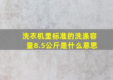 洗衣机里标准的洗涤容量8.5公斤是什么意思