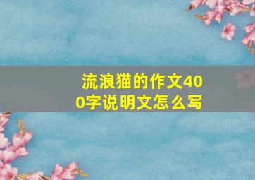 流浪猫的作文400字说明文怎么写