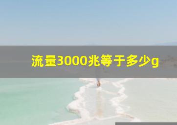 流量3000兆等于多少g