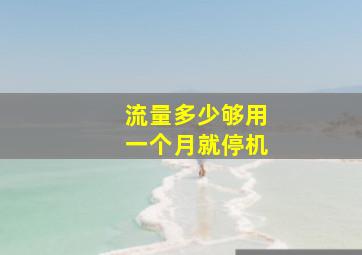 流量多少够用一个月就停机