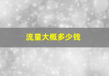 流量大概多少钱