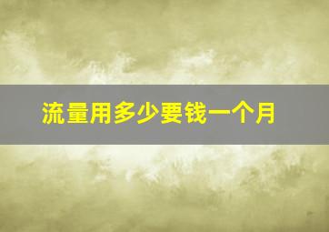 流量用多少要钱一个月