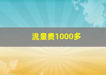 流量费1000多