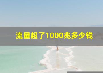 流量超了1000兆多少钱