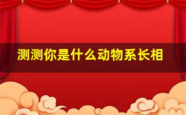 测测你是什么动物系长相