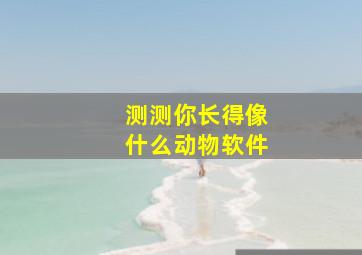 测测你长得像什么动物软件