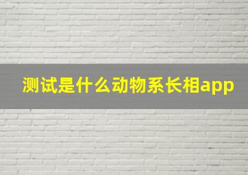 测试是什么动物系长相app