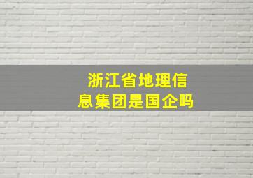 浙江省地理信息集团是国企吗