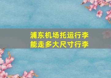 浦东机场托运行李能走多大尺寸行李