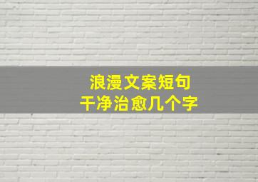 浪漫文案短句干净治愈几个字