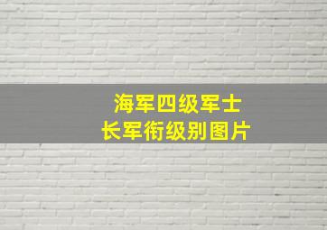 海军四级军士长军衔级别图片