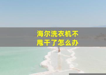 海尔洗衣机不甩干了怎么办