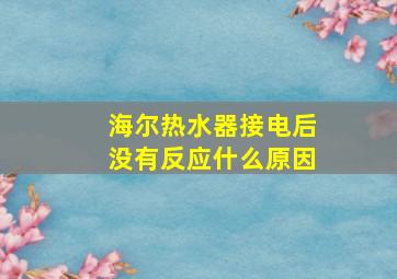 海尔热水器接电后没有反应什么原因