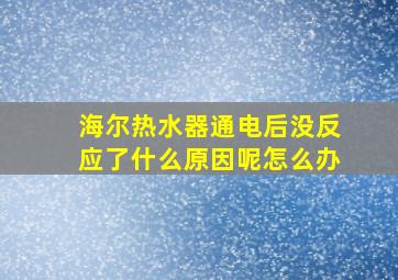 海尔热水器通电后没反应了什么原因呢怎么办