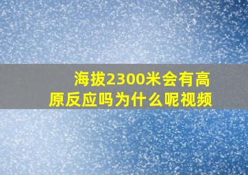 海拔2300米会有高原反应吗为什么呢视频