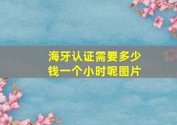 海牙认证需要多少钱一个小时呢图片