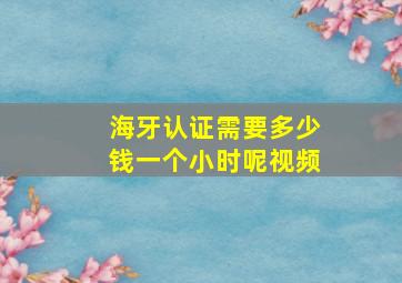 海牙认证需要多少钱一个小时呢视频