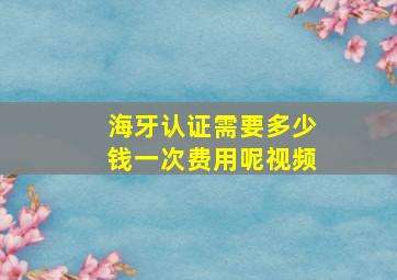 海牙认证需要多少钱一次费用呢视频